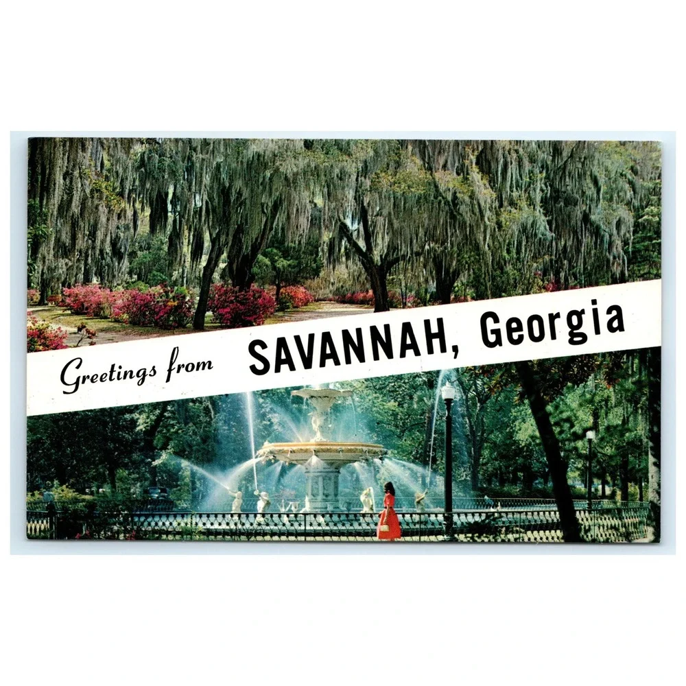 Postcard Savannah Georgia Forsyth Park Greetings‎ Bonaventure Cemetery