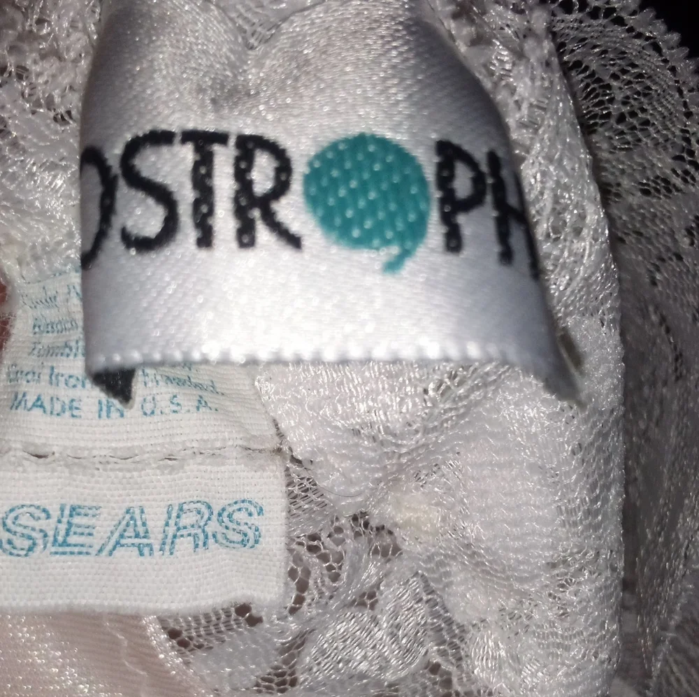Sears beautiful vintage