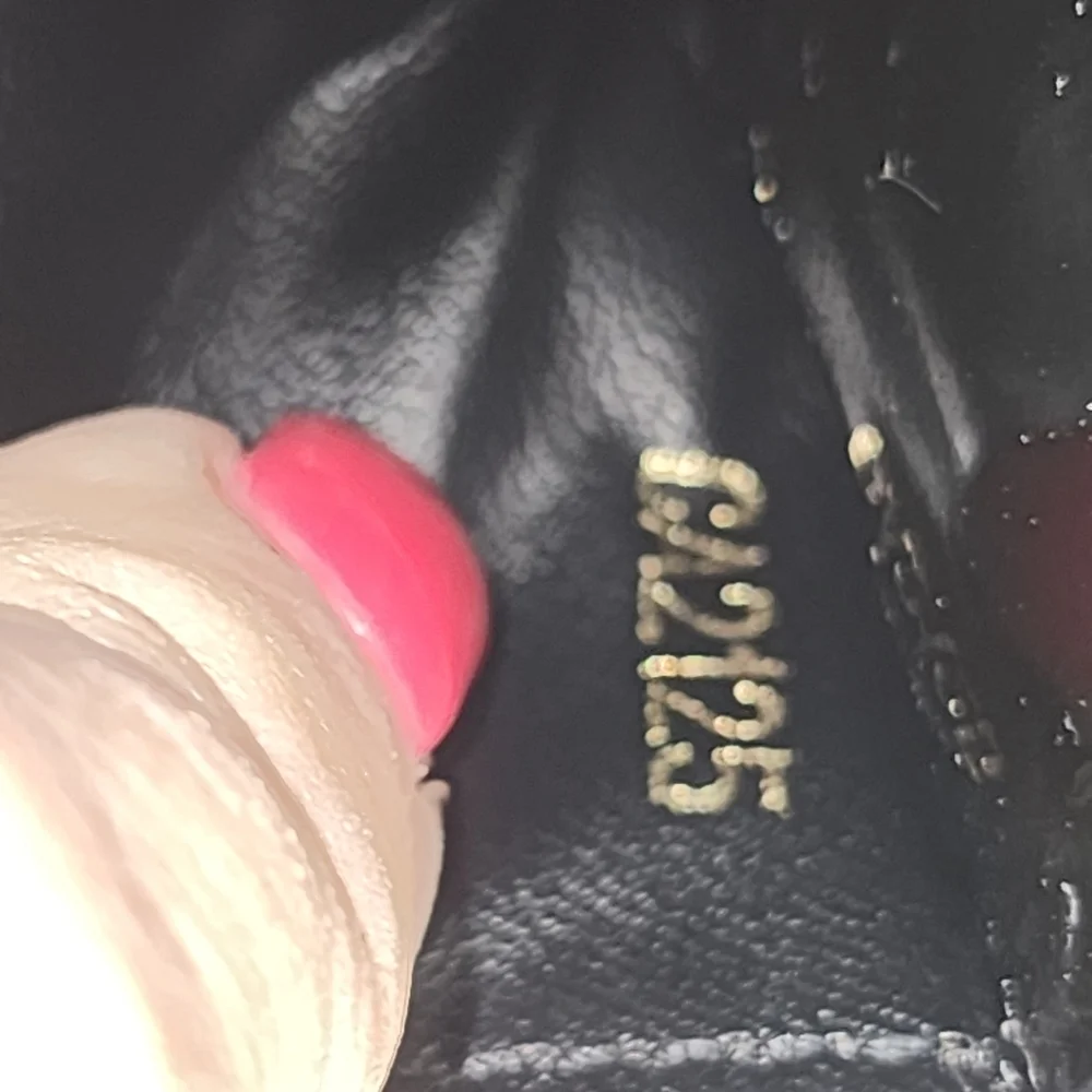Louis Vuitton authentic louis