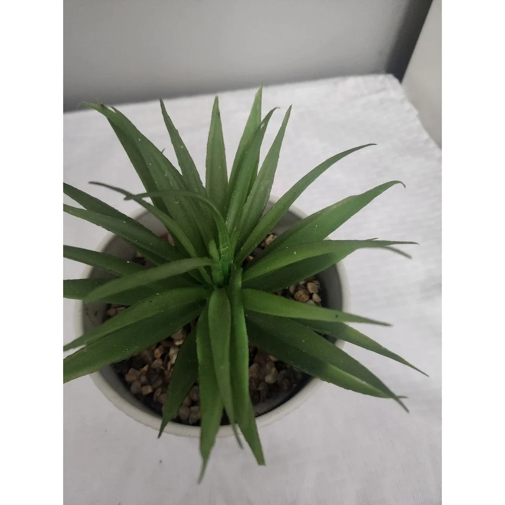 N/A artificial succulent