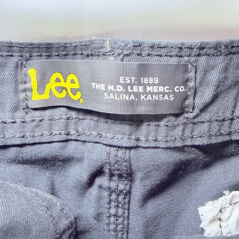 Lee discover ultimate