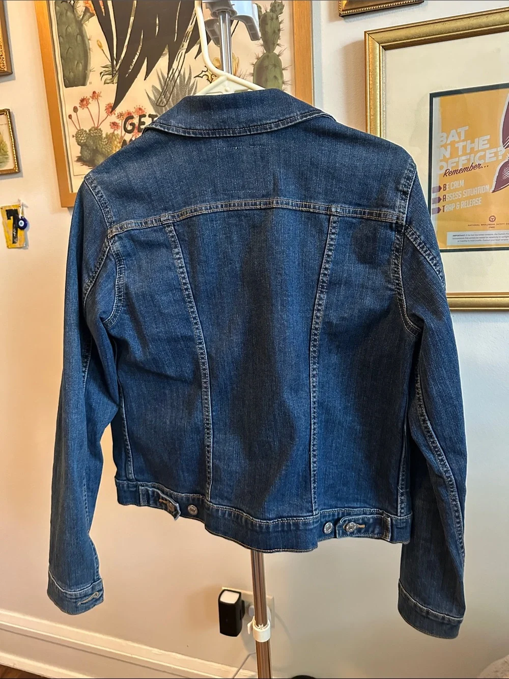 Levis classic levi
