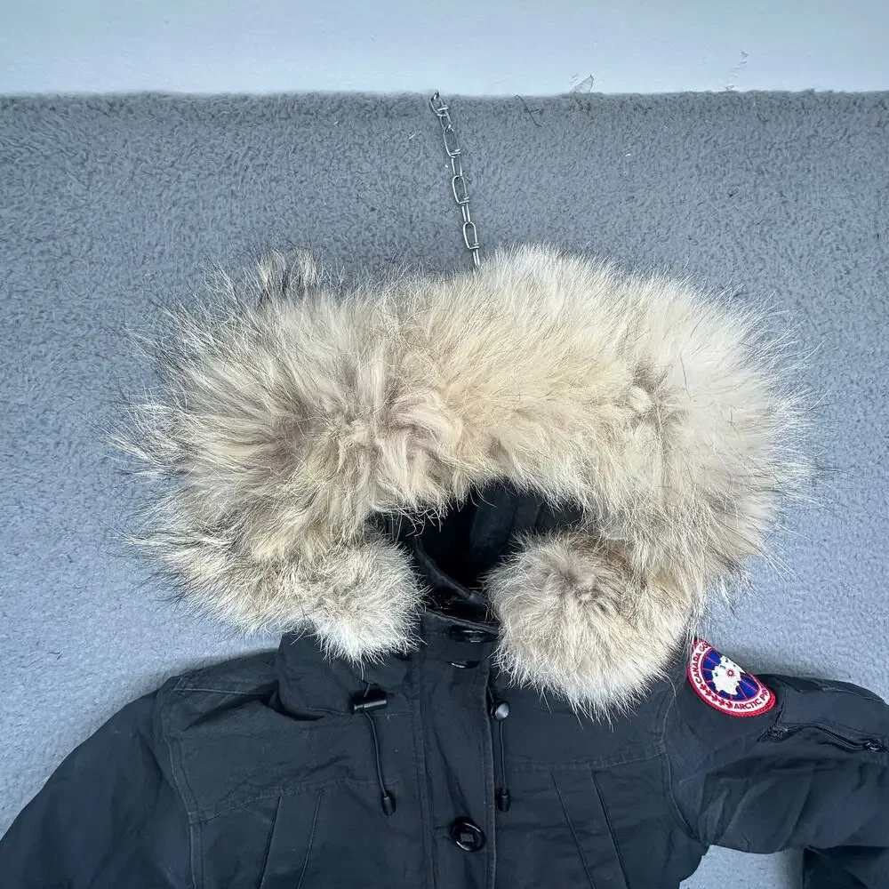Canada Goose canada goose