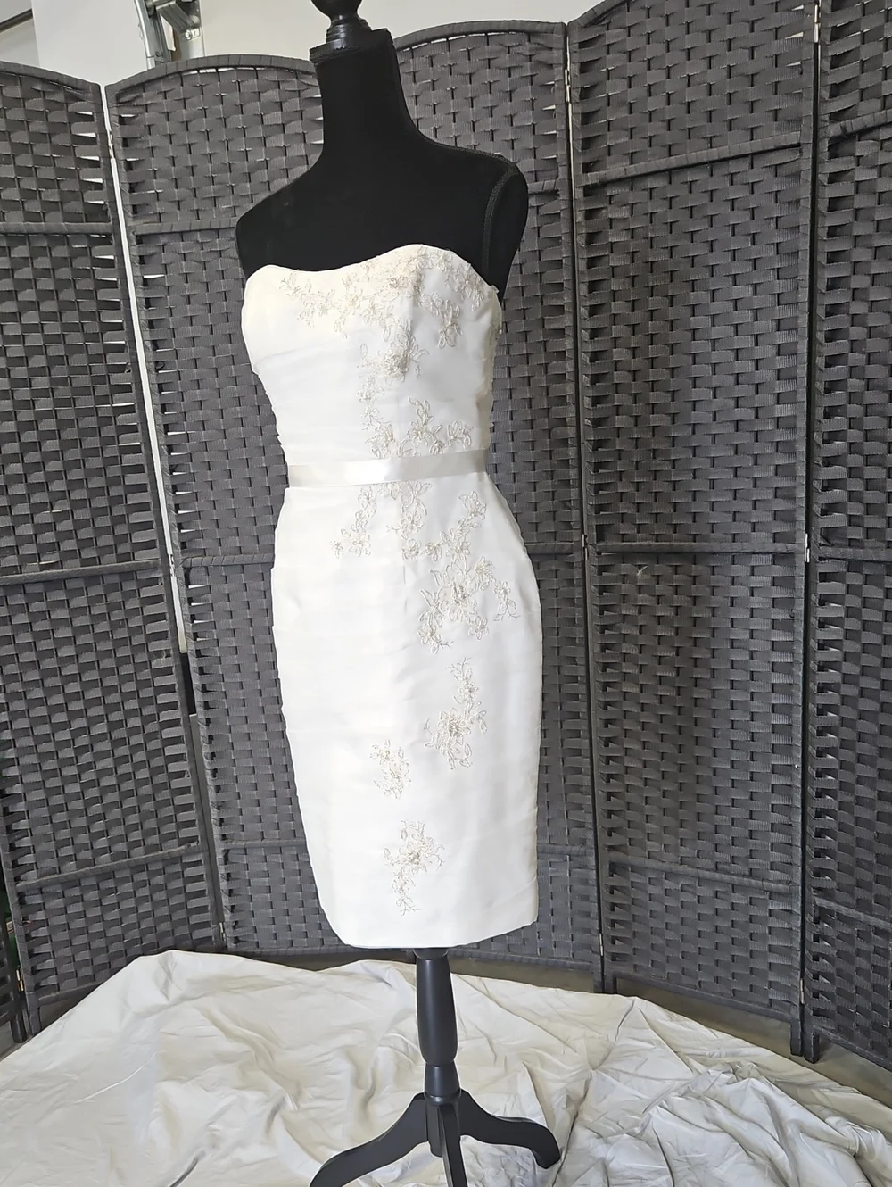 Davids Bridal size 10