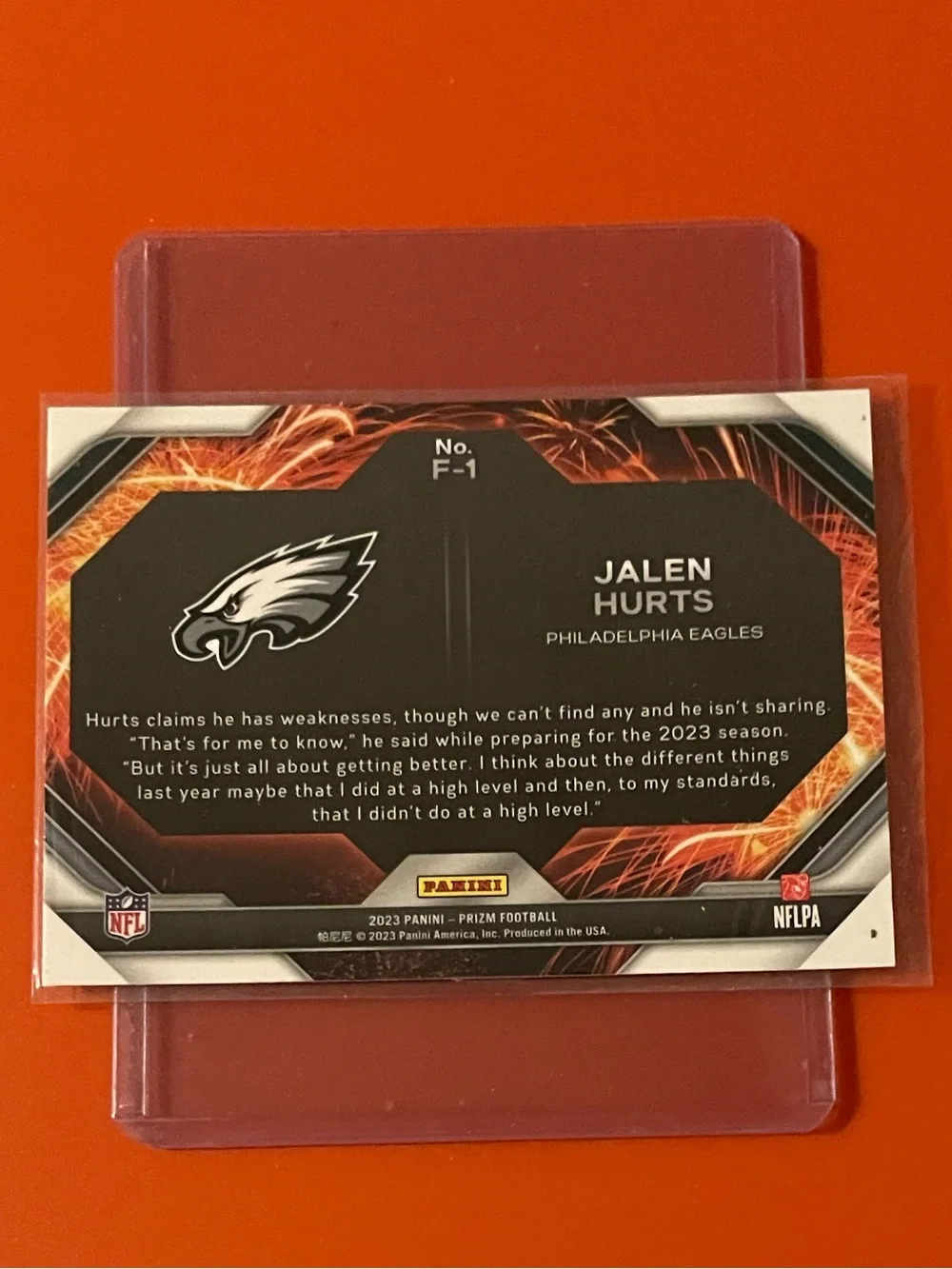 Panini great ungraded