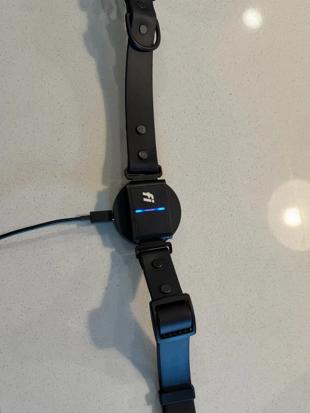 Fi Collar series 3