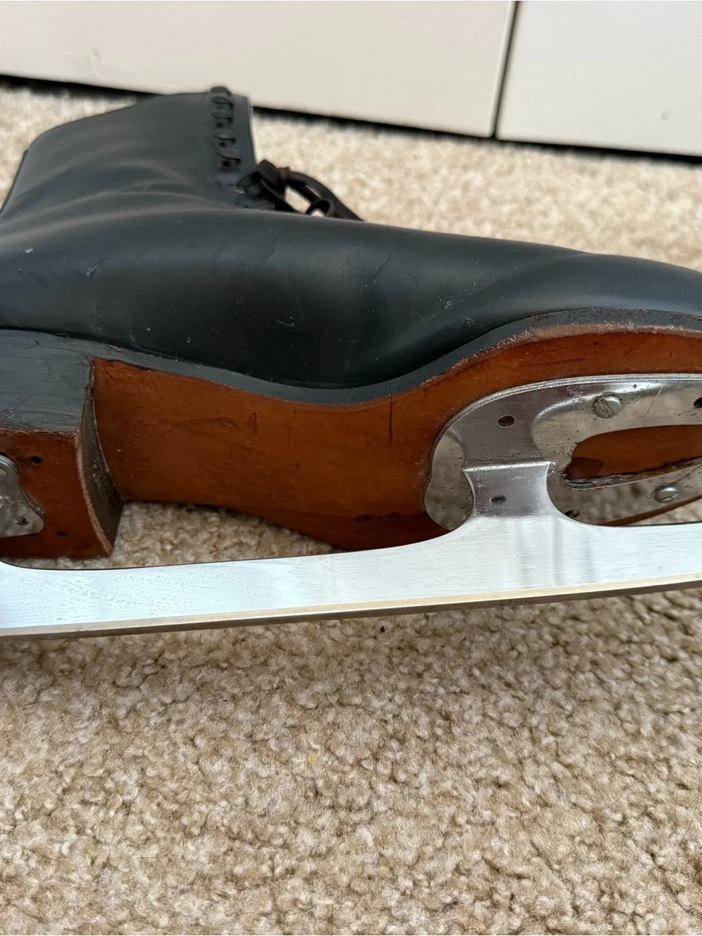 Riedell skates show