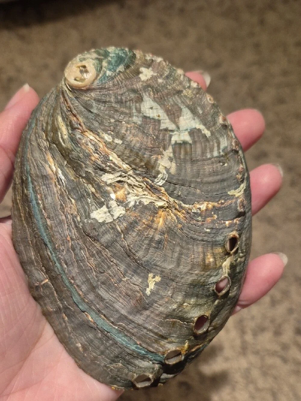 N/A beautiful iridescent