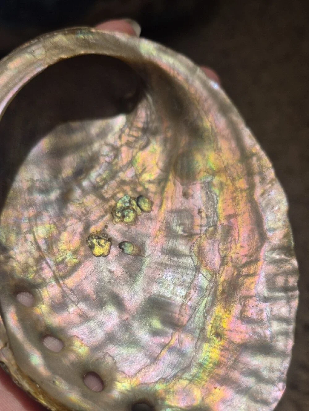 N/A beautiful iridescent