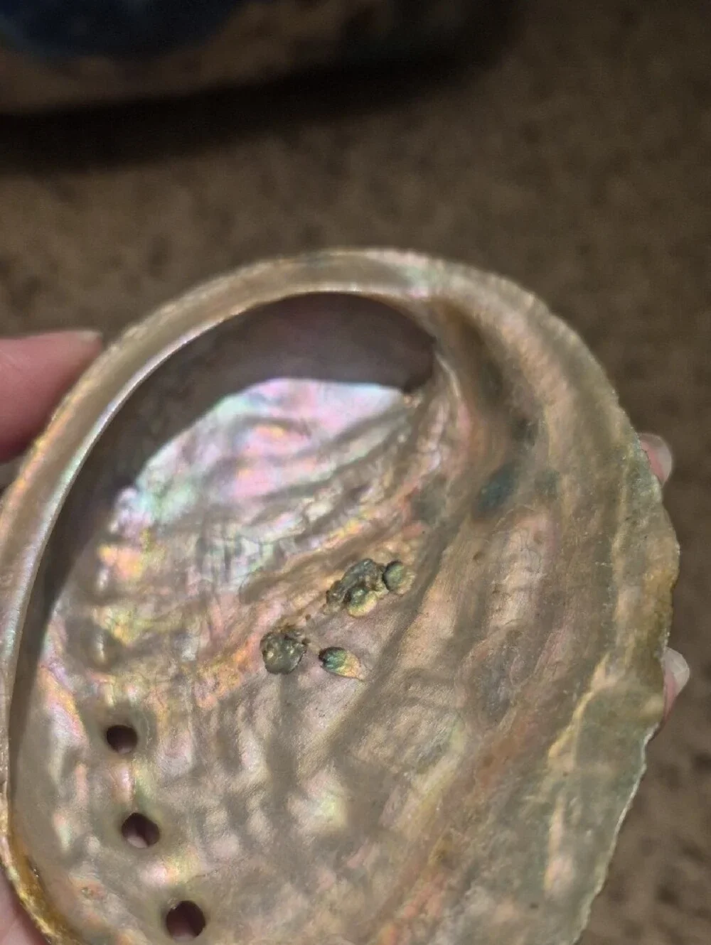 N/A beautiful iridescent