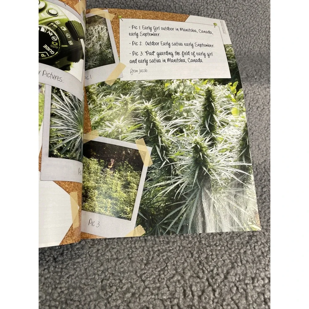 N/A weed world