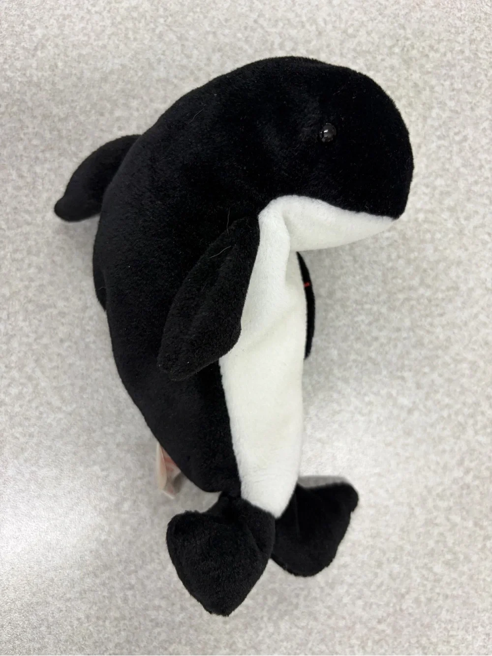 Ty cute orca