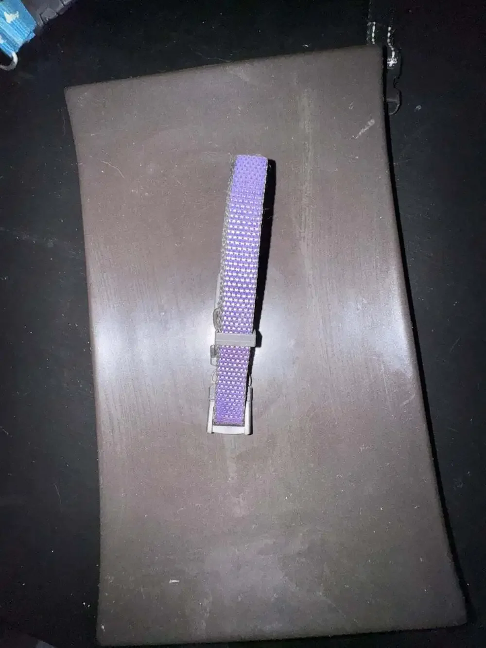 Top Paw Adjustable Purple Nylon Dog Collar rust @ metal ring