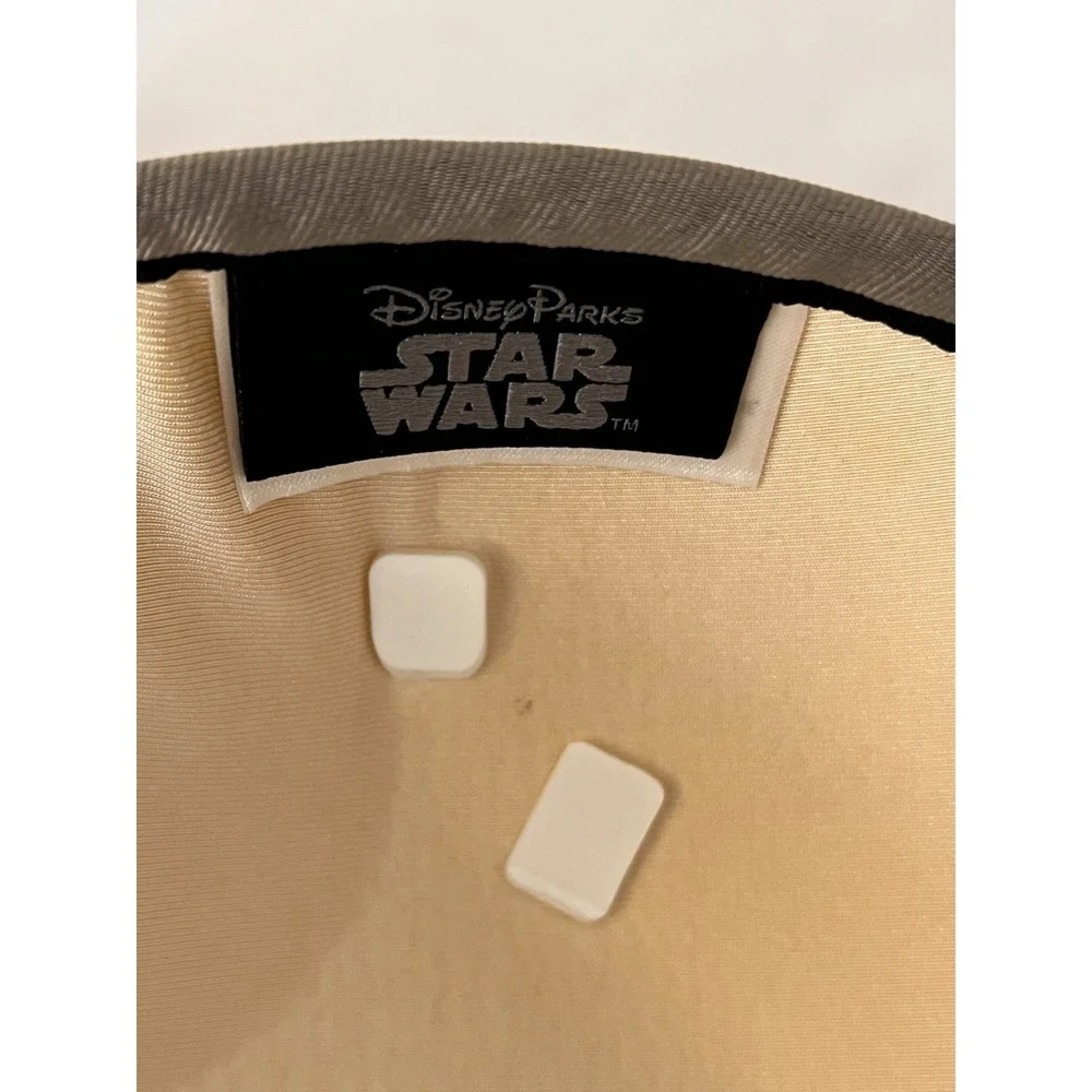 Disney parks star