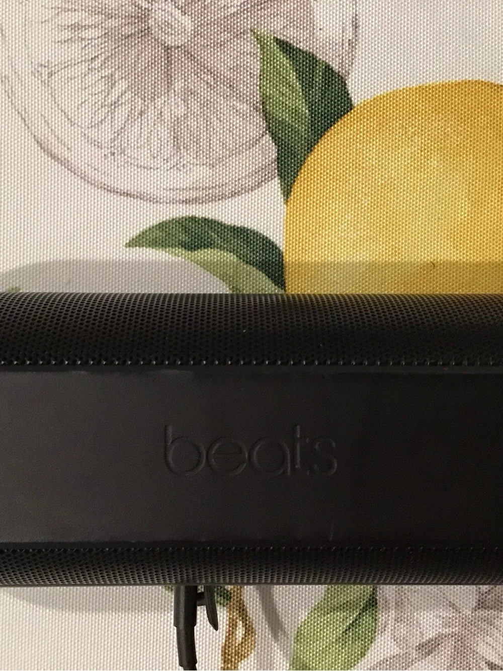 Apple portable bluetooth