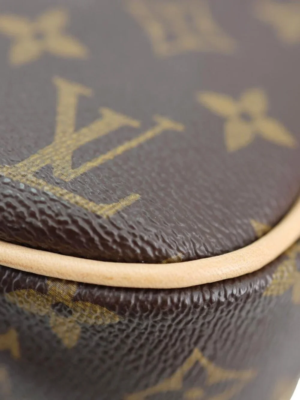 Louis Vuitton item details