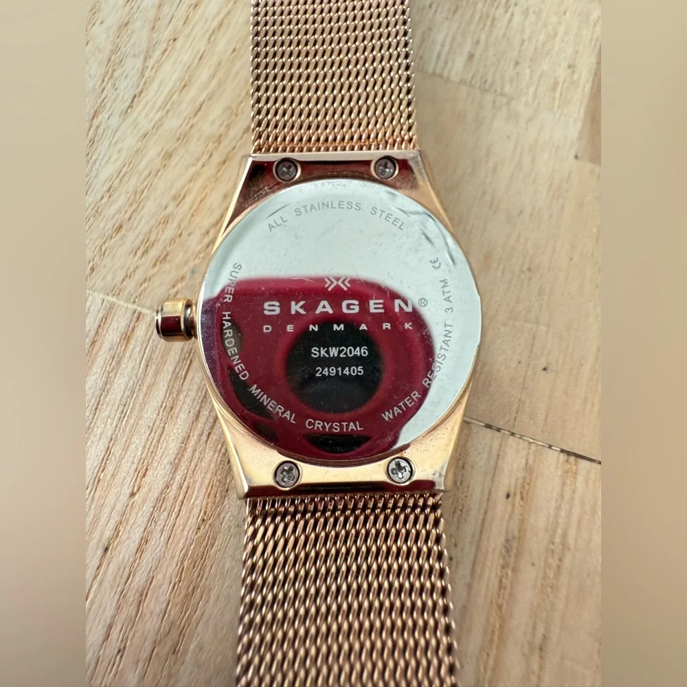 Skagen battery other
