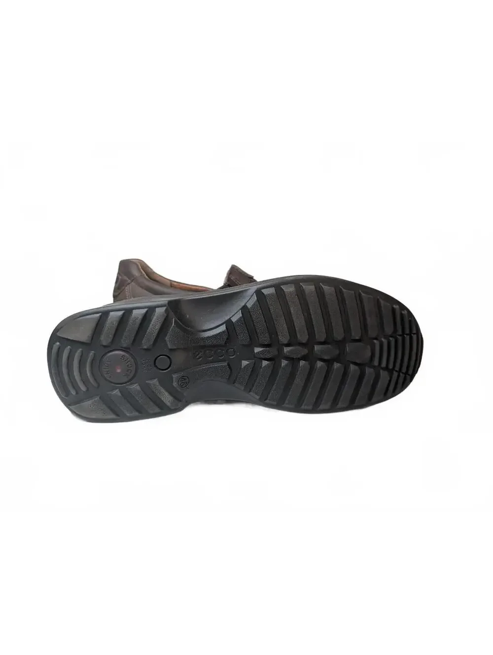 Ecco men fusion