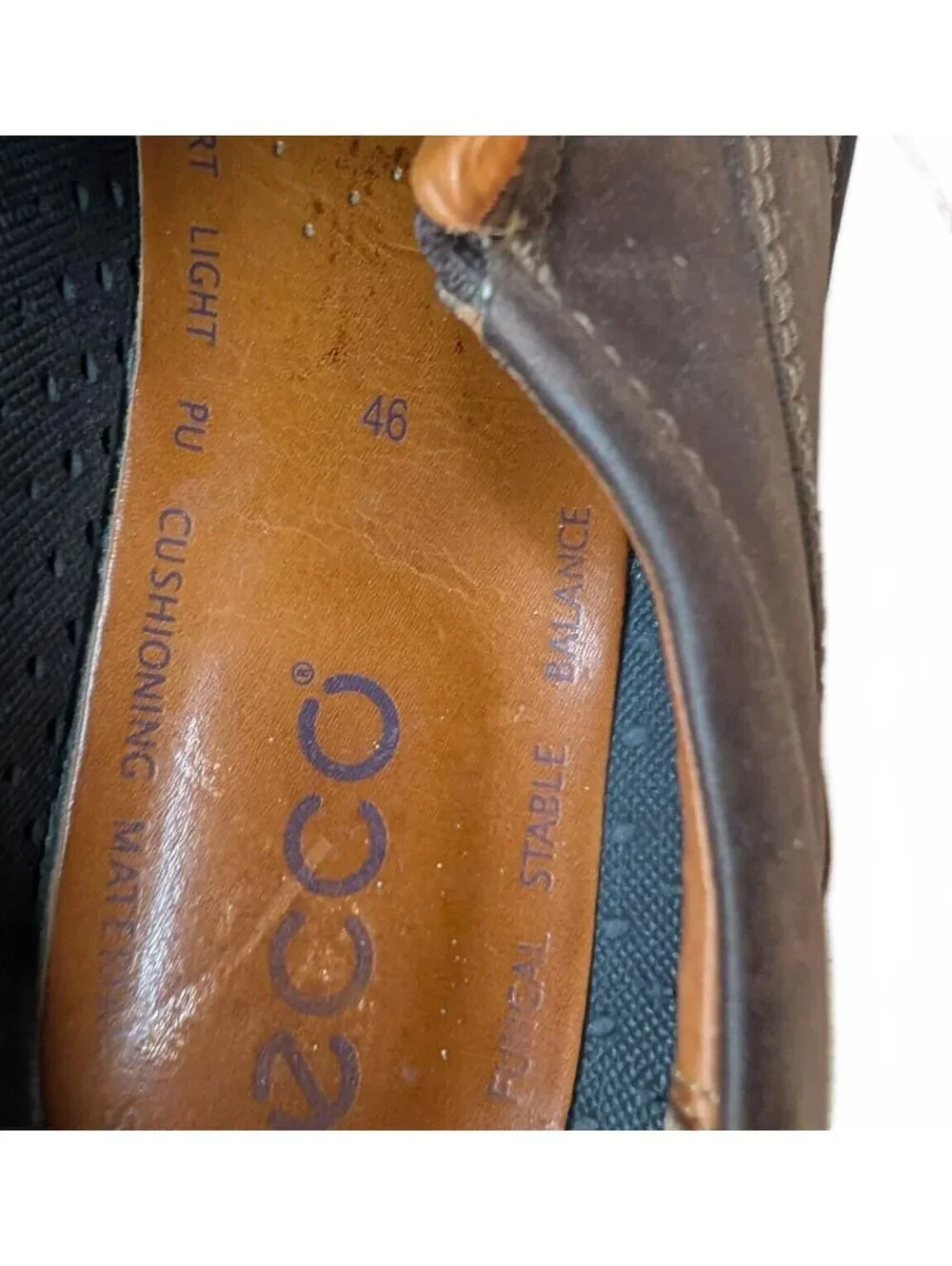 Ecco men fusion