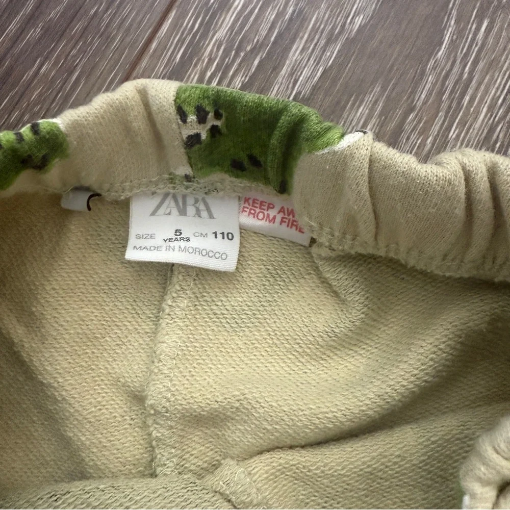 Zara fun dinosaur