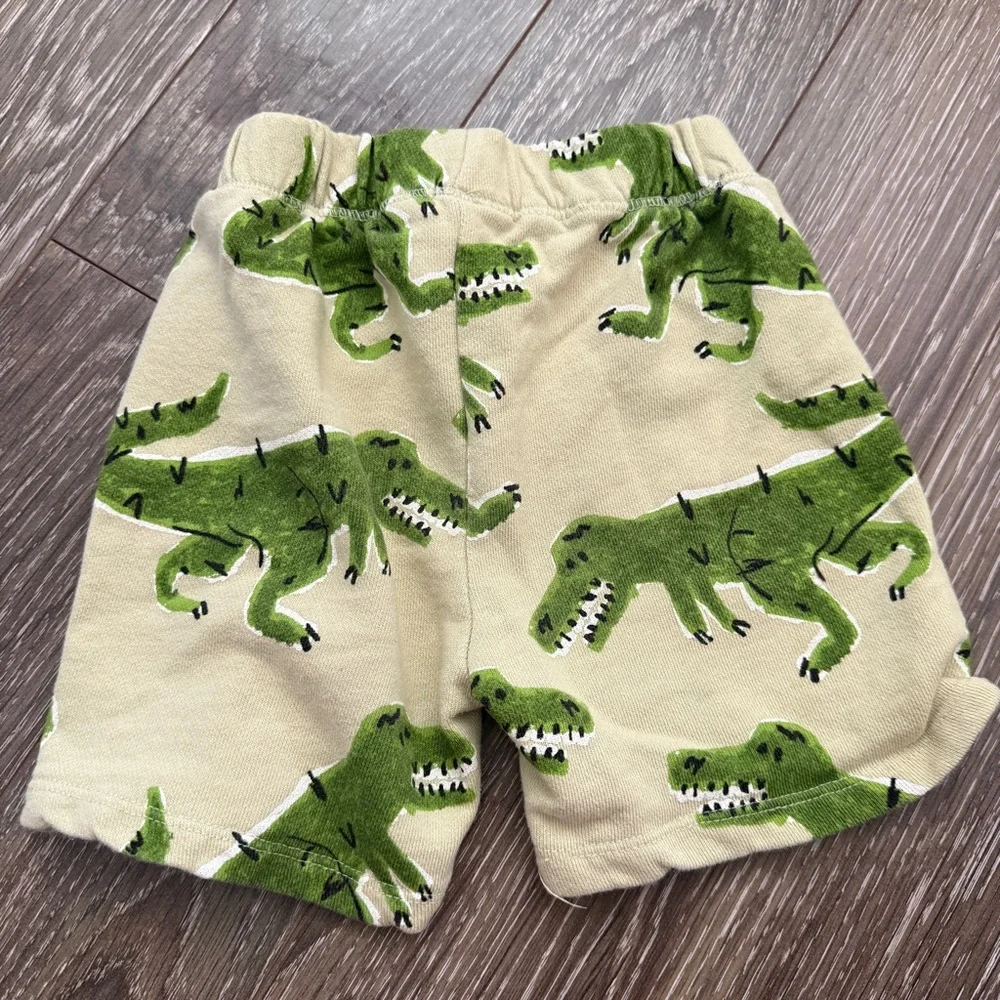 Zara fun dinosaur