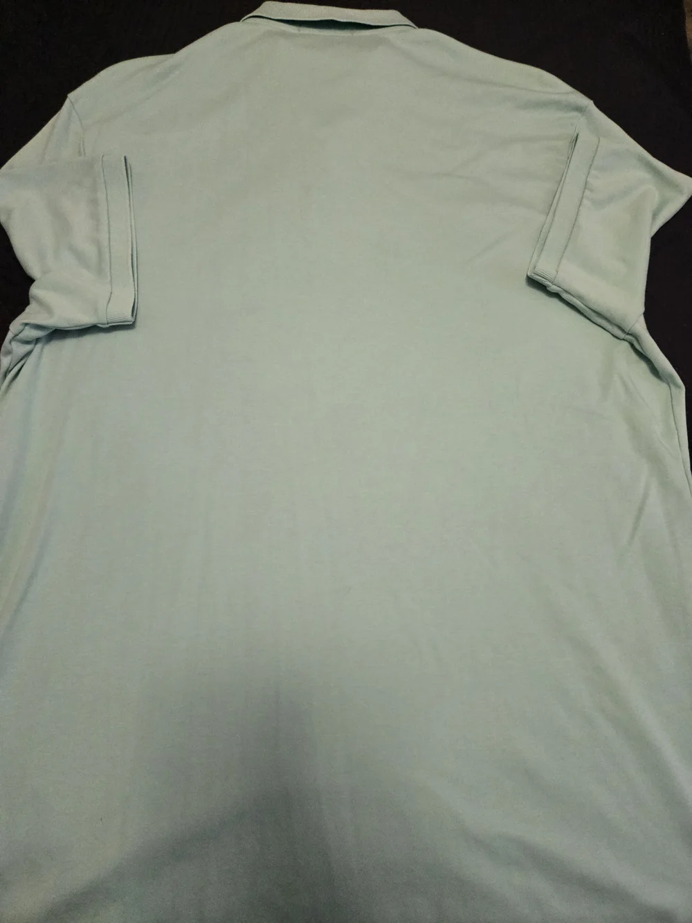 Ralph Lauren polo by