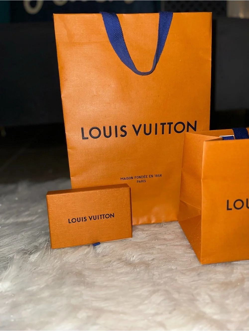 Louis Vuitton photo video