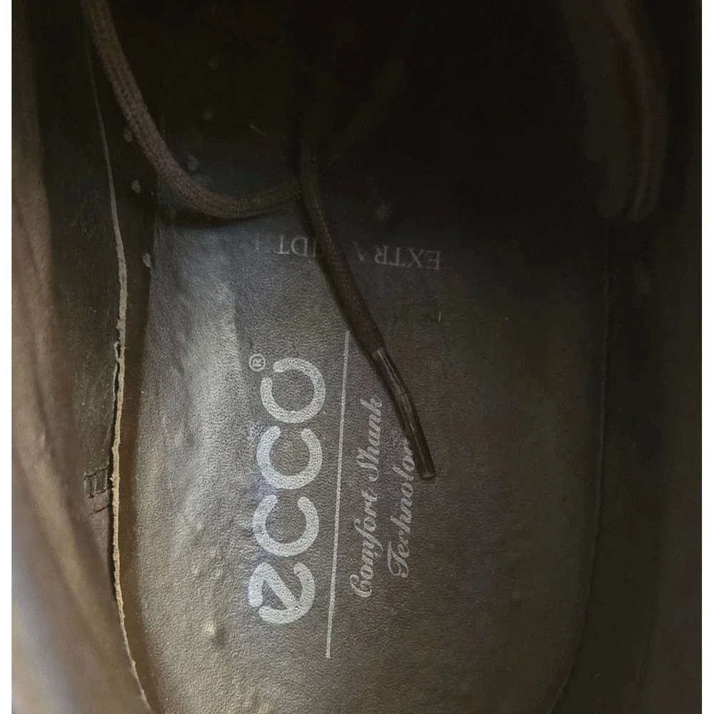 Ecco *owners are