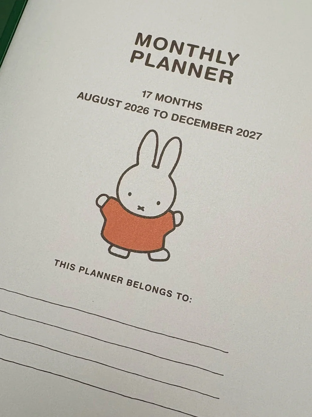 miffy bright striped home