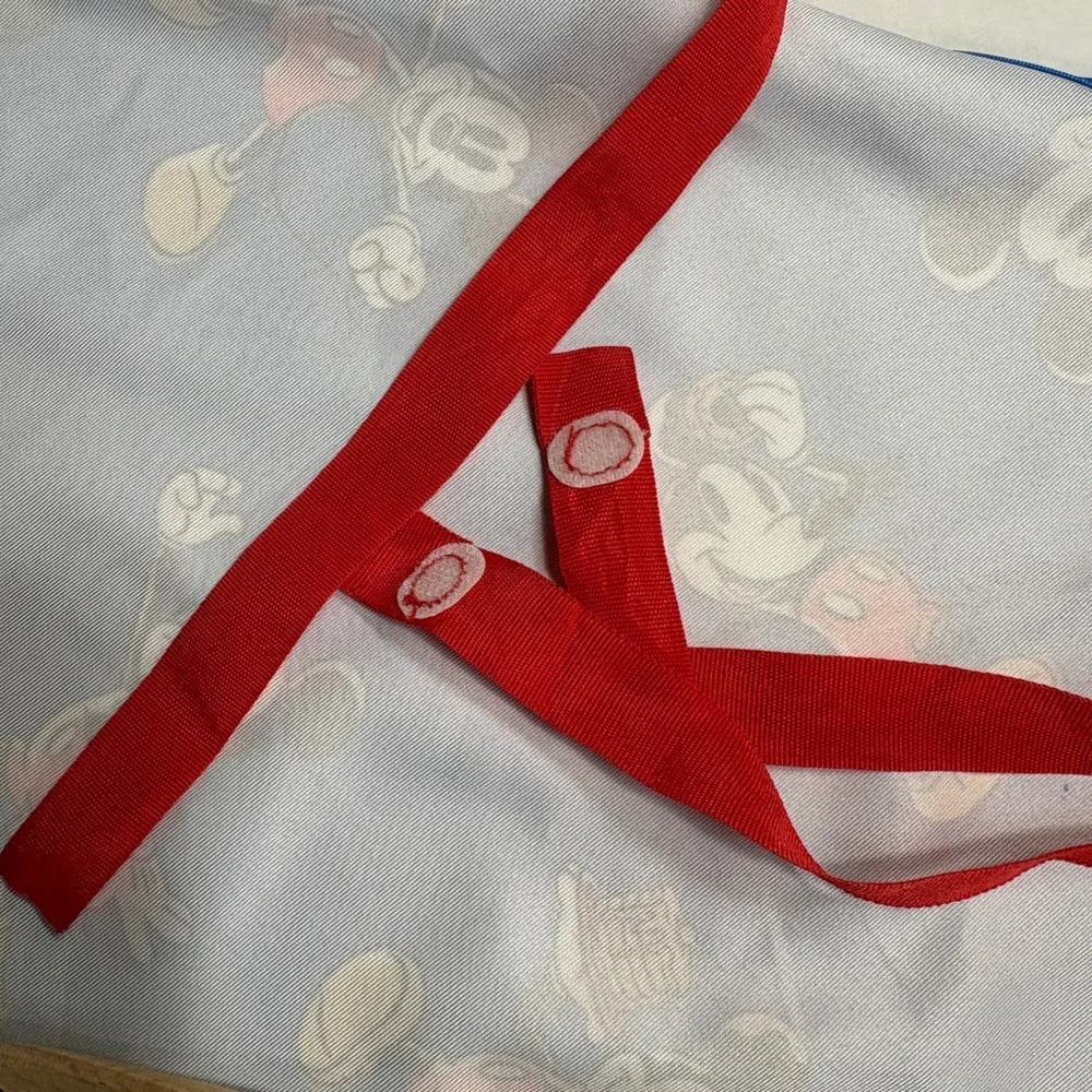 Disney mickey mouse