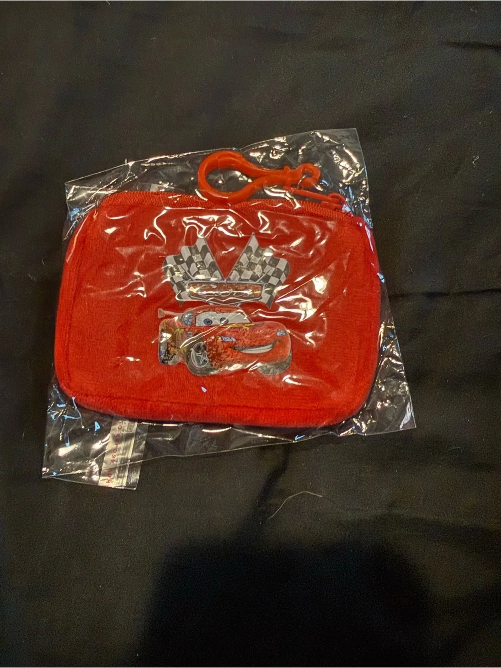 N/A zipper coin