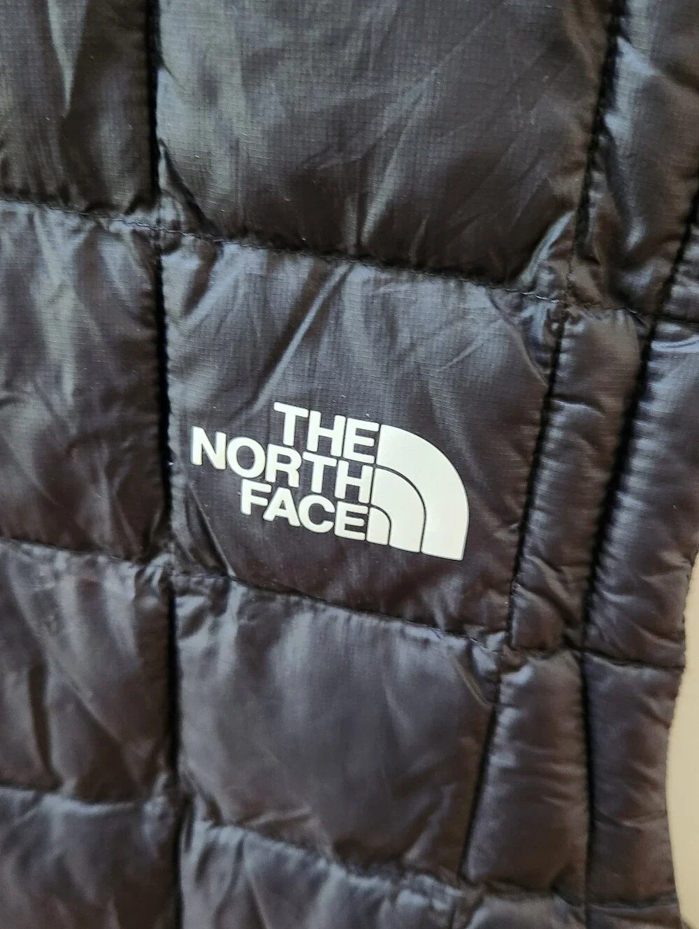 The North Face north face
