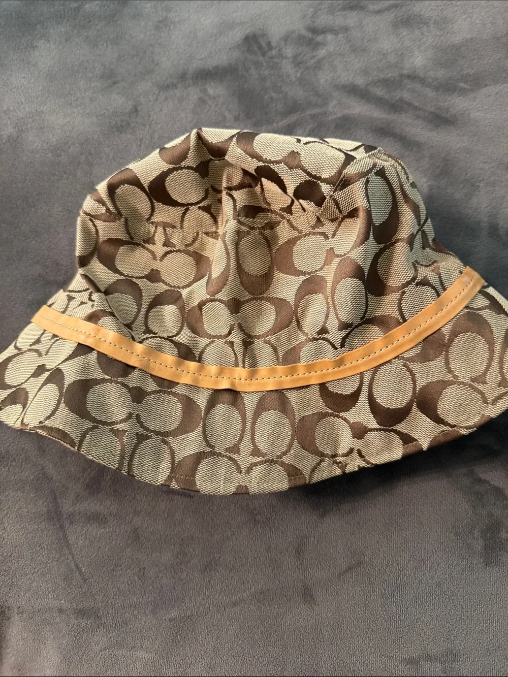Coach image shows