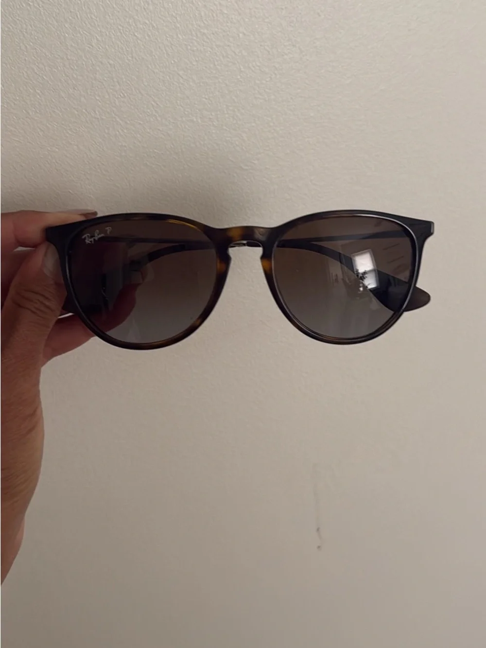 Ray-Ban Erika Classic - Brown Lenses