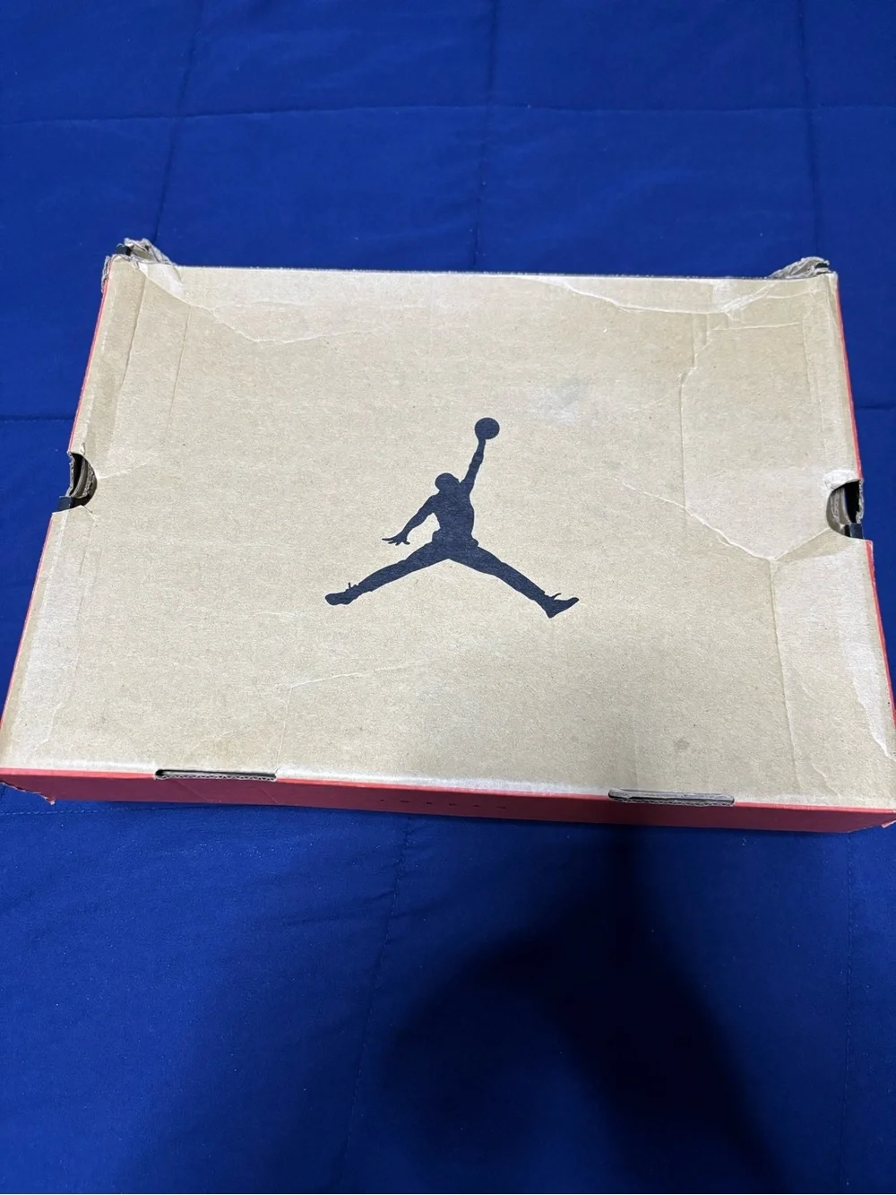 Jordan 12 retro
