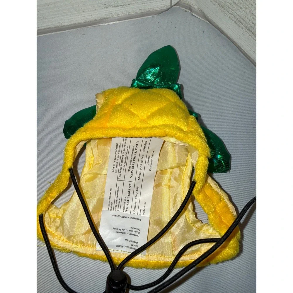 Michaels pet pineapple