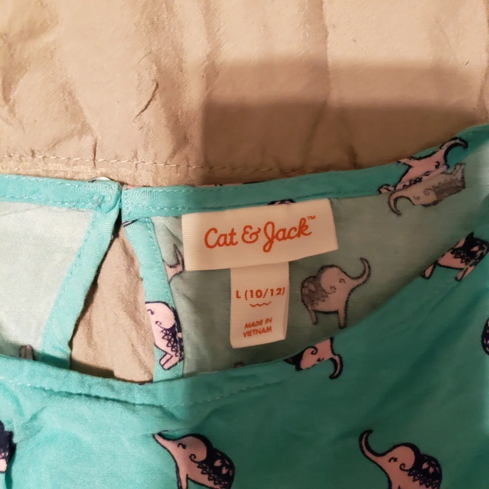 Cat & Jack adorable teal