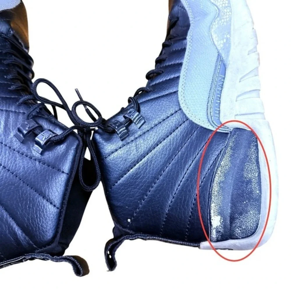 Jordan air 12