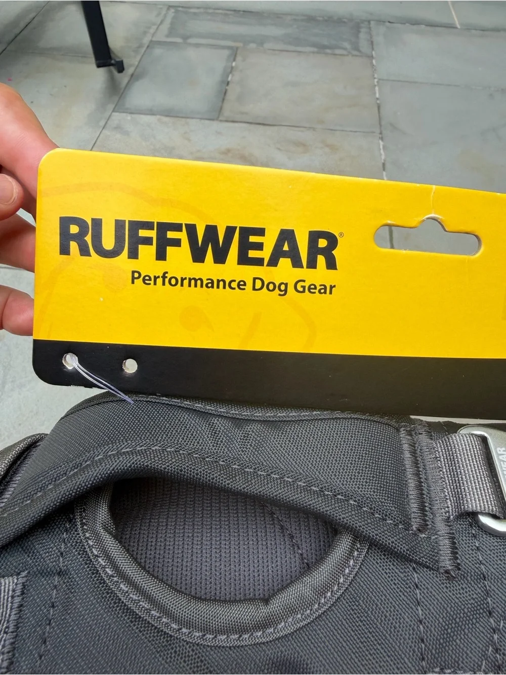RuffWear new dog