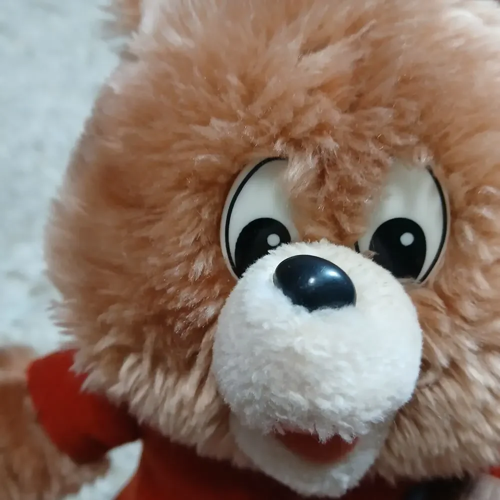 Worlds of Wonder vintage teddy