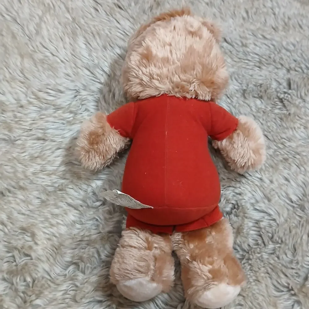 Worlds of Wonder vintage teddy