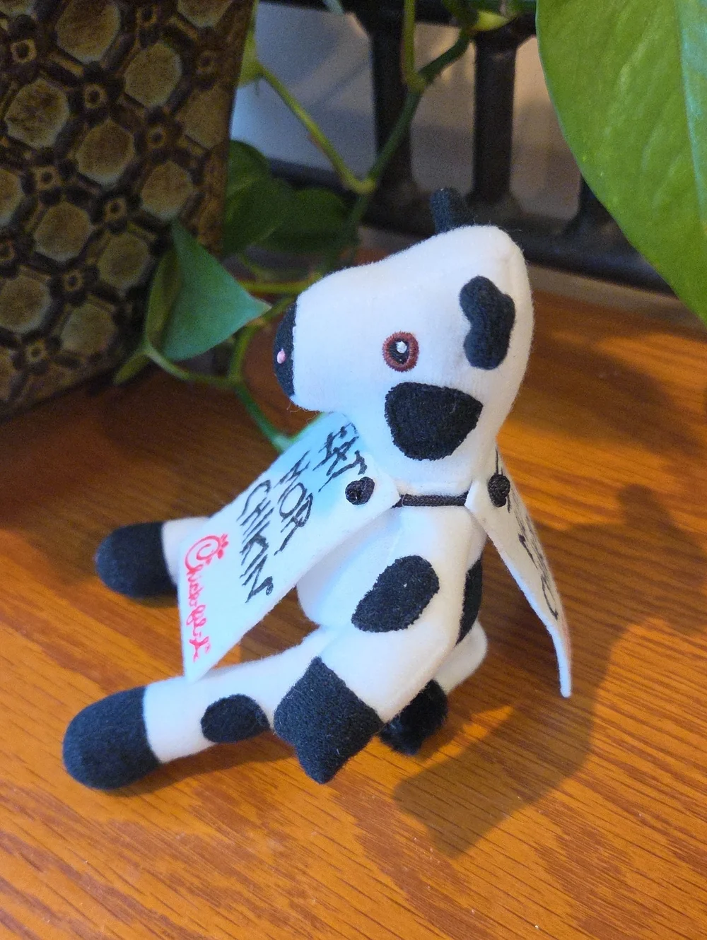 Chick-Fil-A adorable black