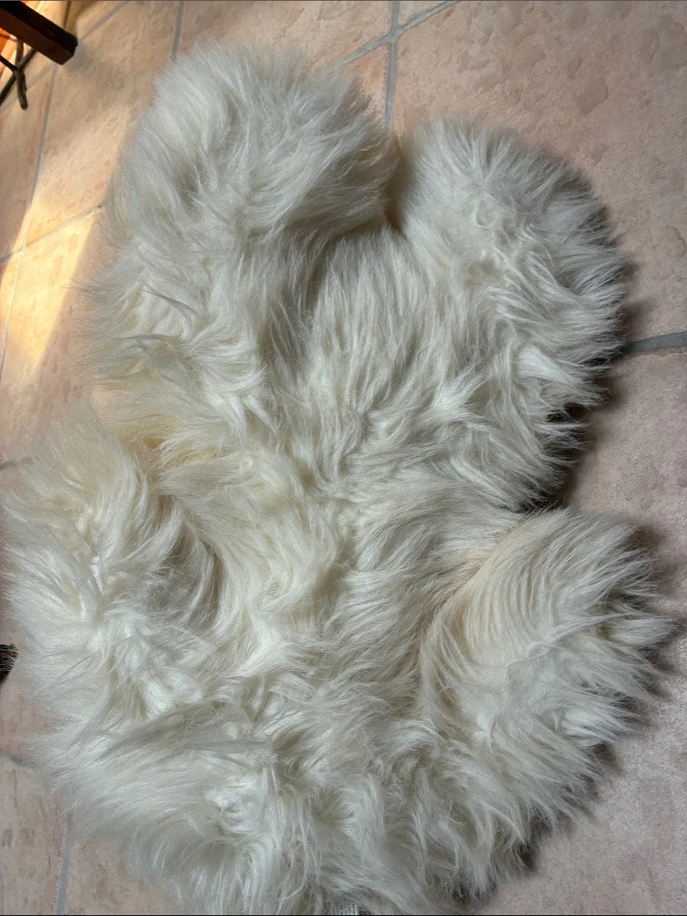 Kellytoy soft small