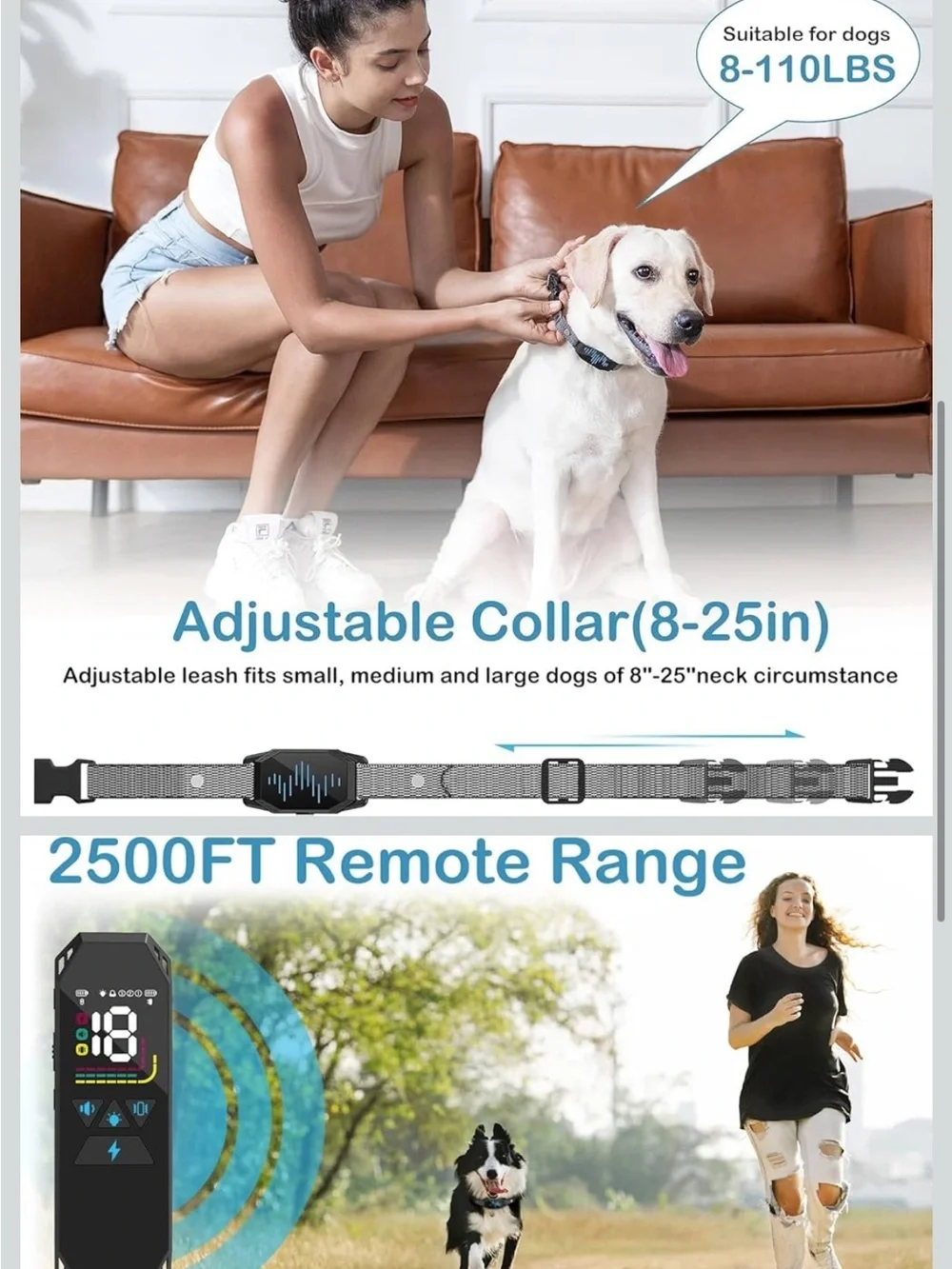 N/A dog training