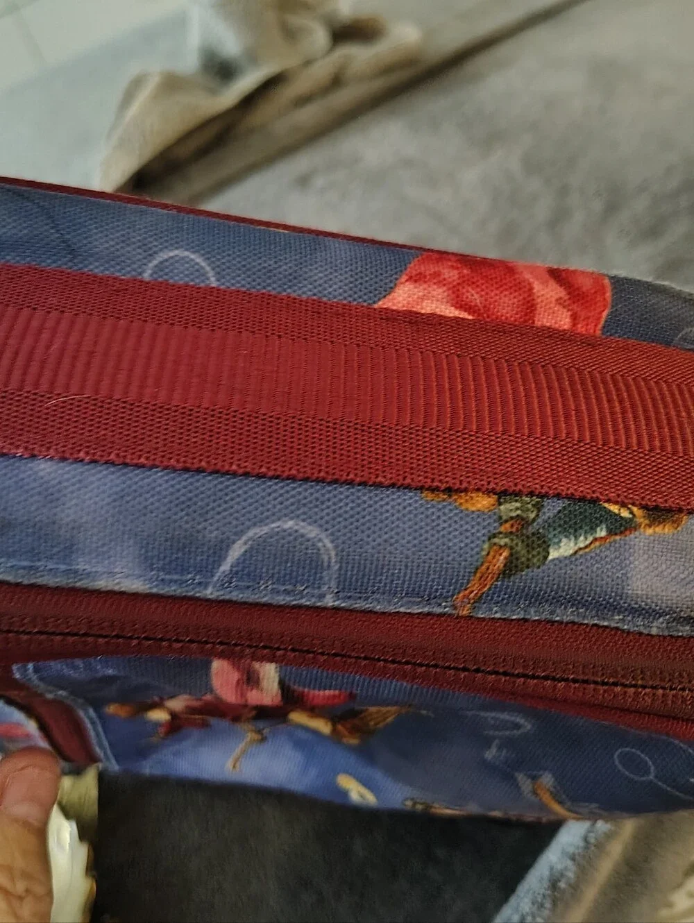 Pottery Barn Kids carrying zip