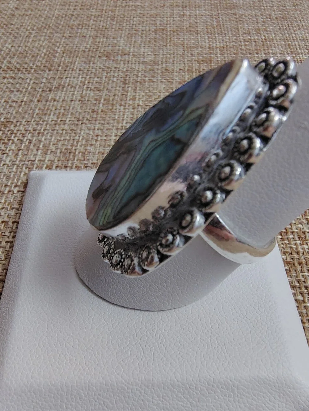 None teardrop abalone