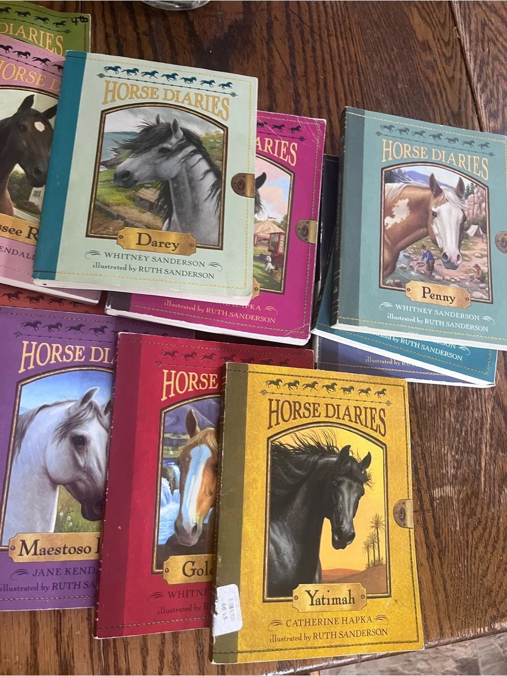 Horse diaries decorative set
