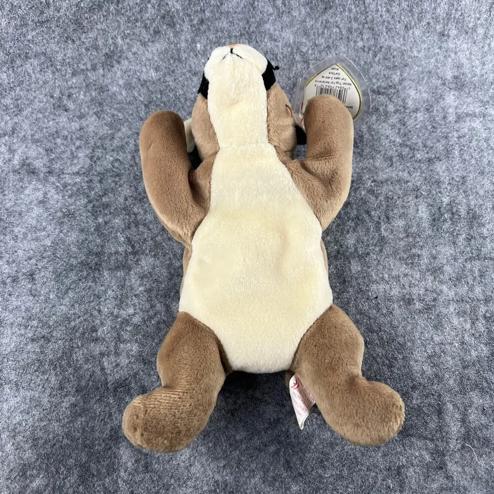 Ty Beanie Baby 1998‎ Canyon The Cougar 8