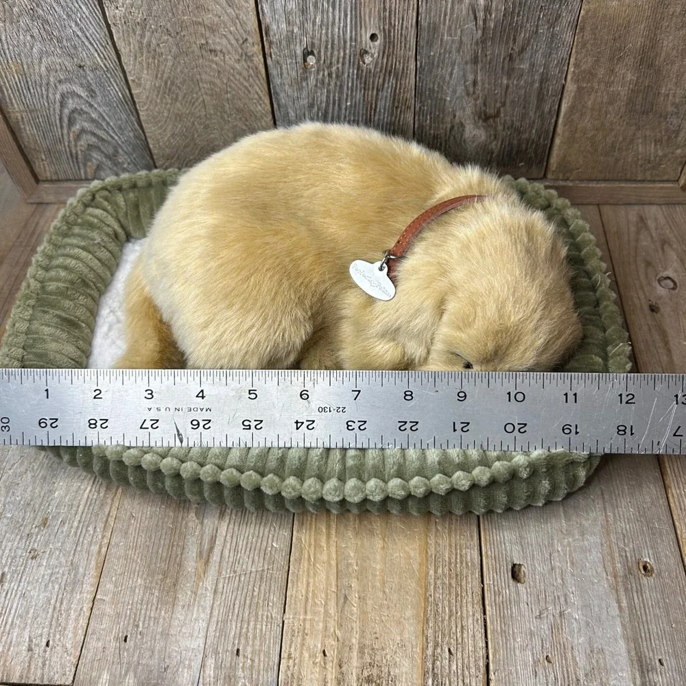 Perfect Petzzz perfect petzzz
