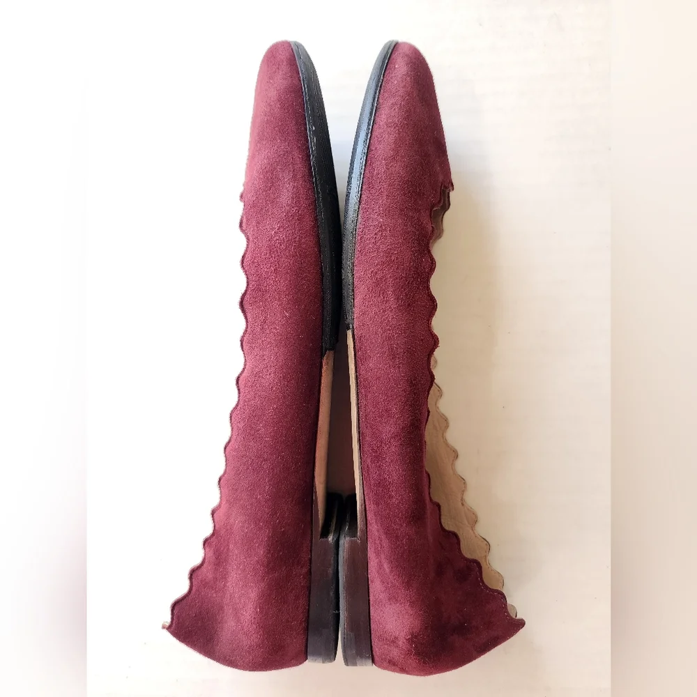 Chloe elegant burgundy